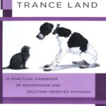 خرید و دانلود نسخه کامل کتاب A Guide to Trance Land_ A Practical Handbook of Ericksonian and Solution-Oriented Hypnosis