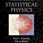 خرید و دانلود نسخه کامل کتاب A Kinetic View of Statistical Physics