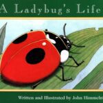 خرید و دانلود نسخه کامل کتاب A Ladybug’s Life