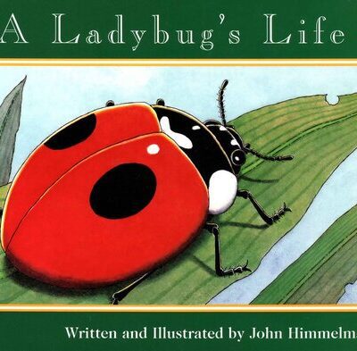 خرید و دانلود نسخه کامل کتاب A Ladybug’s Life