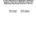 خرید و دانلود نسخه کامل کتاب A New Dimension to Quantum Chemistry: Analytic Derivative Methods in Ab Initio Molecular Electronic Structure Theory