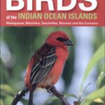 خرید و دانلود نسخه کامل کتاب A Photographic Guide to the Birds of the Indian Ocean Islands: Madagascar, Mauritius, Seychelles, Reunion and the Comoros