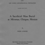 خرید و دانلود نسخه کامل کتاب A sacrificial mass burial at Miramar, Chiapas, Mexico