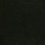 خرید و دانلود نسخه کامل کتاب A treatise on the diseases of females: disorders of menstruation