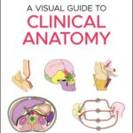 خرید و دانلود نسخه کامل کتاب A Visual Guide to Clinical Anatomy, 1e