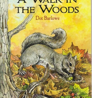 خرید و دانلود نسخه کامل کتاب A Walk in the Woods Coloring Book (Dover Coloring Books)