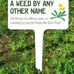 خرید و دانلود نسخه کامل کتاب A Weed by Any Other Name: The Virtues of a Messy Lawn, or Learning to Love the Plants We Don’t Plant