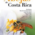 خرید و دانلود نسخه کامل کتاب Abejas de Costa Rica