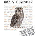 خرید و دانلود نسخه کامل کتاب Advanced Brain Training – Brain Train Your Way to the Top: A Teach Yourelf Guide