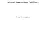 خرید و دانلود نسخه کامل کتاب Advanced quantum gauge field theory