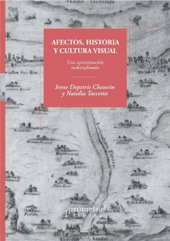 خرید و دانلود نسخه کامل کتاب Afectos, historia y cultura visual: una aproximación indisciplinada