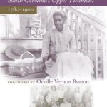 خرید و دانلود نسخه کامل کتاب African American Life in South Carolina’s Upper Piedmont, 1780-1900