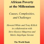خرید و دانلود نسخه کامل کتاب African Poverty at the Millennium: Causes, Complexities, and Challenges