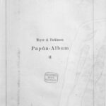 خرید و دانلود نسخه کامل کتاب Album von Papua-Typen. Nord Neu Guinea, Bismarck Archipel, Deutsche Salomo Inseln