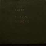 خرید و دانلود نسخه کامل کتاب Album widoków gubernij grodzieńskiej, wileńskiej, mińskiej, kowieńskiej, wołyńskiej, podolskiej, kijowskiej