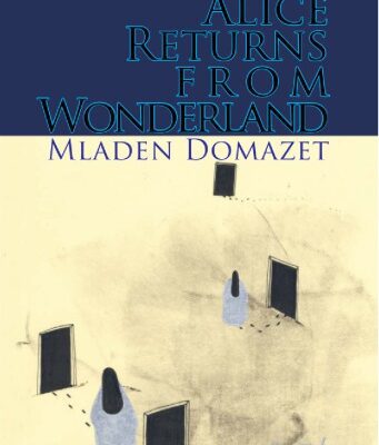 خرید و دانلود نسخه کامل کتاب Alice Returns From Wonderland: Ontological Frameworks for Explanation from Contemporary Quantum Theories