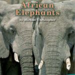 خرید و دانلود نسخه کامل کتاب All about African Elephants (All About Series Book 85 Level K)