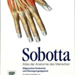 خرید و دانلود نسخه کامل کتاب Allgemeine Anatomie und Bewegungsapparat