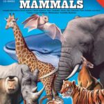 خرید و دانلود نسخه کامل کتاب Amazing Facts about Mammals – Science Activity Book – Grades 5 to 8