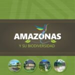 خرید و دانلود نسخه کامل کتاب Amazonas (Perú) y su biodiversidad