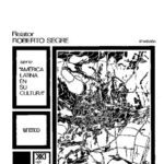 خرید و دانلود نسخه کامل کتاب América Latina en su arquitectura