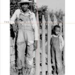 خرید و دانلود نسخه کامل کتاب American Congo: The African American Freedom Struggle in the Delta