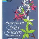خرید و دانلود نسخه کامل کتاب American Wild Flowers: Coloring Book
