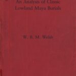 خرید و دانلود نسخه کامل کتاب An analysis of Classic lowland Maya burials
