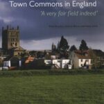 خرید و دانلود نسخه کامل کتاب An Archaeology of Town Commons in England: “A Very Fair Field Indeed”