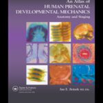 خرید و دانلود نسخه کامل کتاب An Atlas of Human Prenatal Development Mechanics: Anatomy And Staging