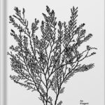 خرید و دانلود نسخه کامل کتاب An Elegant Puzzle: Systems of Engineering Management by Will Larson