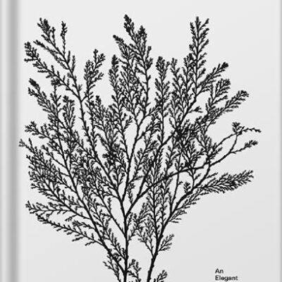 خرید و دانلود نسخه کامل کتاب An Elegant Puzzle: Systems of Engineering Management by Will Larson