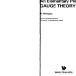 خرید و دانلود نسخه کامل کتاب An elementary primer for gauge theory