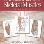 خرید و دانلود نسخه کامل کتاب An Illustrated Atlas of the Skeletal Muscles, 3rd Edition