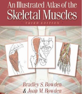خرید و دانلود نسخه کامل کتاب An Illustrated Atlas of the Skeletal Muscles, 3rd Edition