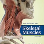 خرید و دانلود نسخه کامل کتاب An Illustrated Atlas of the Skeletal Muscles (4th Edition) – Image Pdf with Ocr