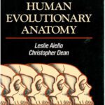 خرید و دانلود نسخه کامل کتاب An Introduction to Human Evolutionary Anatomy