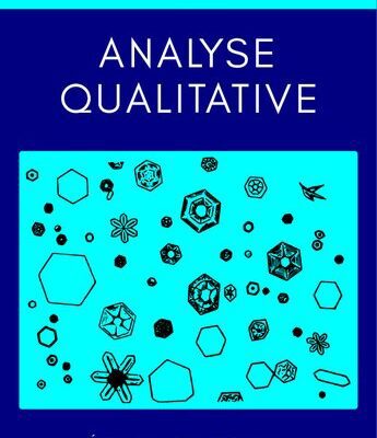 خرید و دانلود نسخه کامل کتاب Analyse qualitative