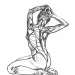 خرید و دانلود نسخه کامل کتاب AnatomÍa artÍstica