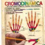 خرید و دانلود نسخه کامل کتاب Anatomía Cromodinámica. Atlas anatómico para colorear