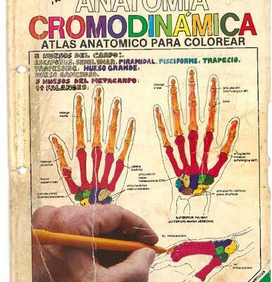 خرید و دانلود نسخه کامل کتاب Anatomía Cromodinámica. Atlas anatómico para colorear