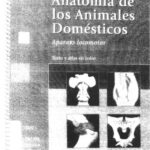 خرید و دانلود نسخه کامل کتاب Anatomía de los animales domésticos. Tomo I: Aparato locomotor. Texto y atlas en color
