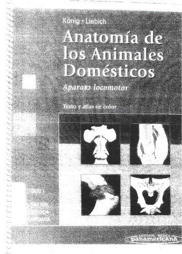 خرید و دانلود نسخه کامل کتاب Anatomía de los animales domésticos. Tomo I: Aparato locomotor. Texto y atlas en color_68b910316afe8.jpeg خرید و دانلود نسخه کامل کتاب Anatomía de los animales domésticos. Tomo I: Aparato locomotor. Texto y atlas en color