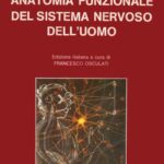 خرید و دانلود نسخه کامل کتاب Anatomia funzionale del sistema nervoso dell’uomo