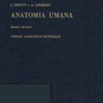 خرید و دانلود نسخه کامل کتاب Anatomia Umana – Indice analitico generale