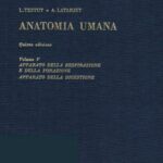 خرید و دانلود نسخه کامل کتاب Anatomia Umana