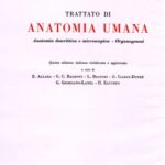 خرید و دانلود نسخه کامل کتاب Anatomia Umana