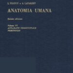 خرید و دانلود نسخه کامل کتاب Anatomia Umana