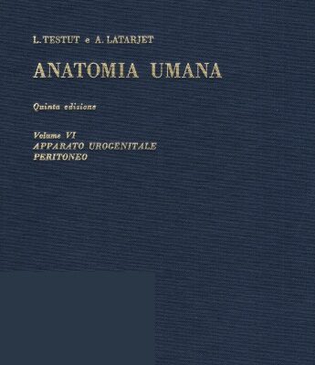 خرید و دانلود نسخه کامل کتاب Anatomia Umana