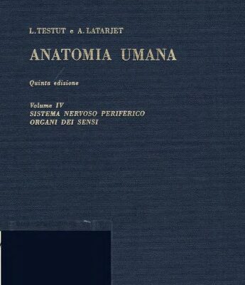 خرید و دانلود نسخه کامل کتاب Anatomia Umana